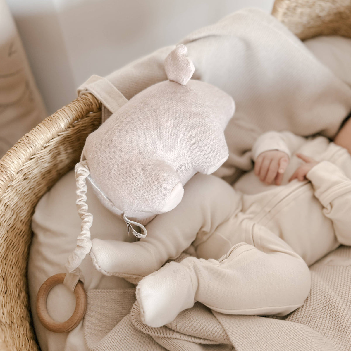 Pua’a Plush Musical Toy