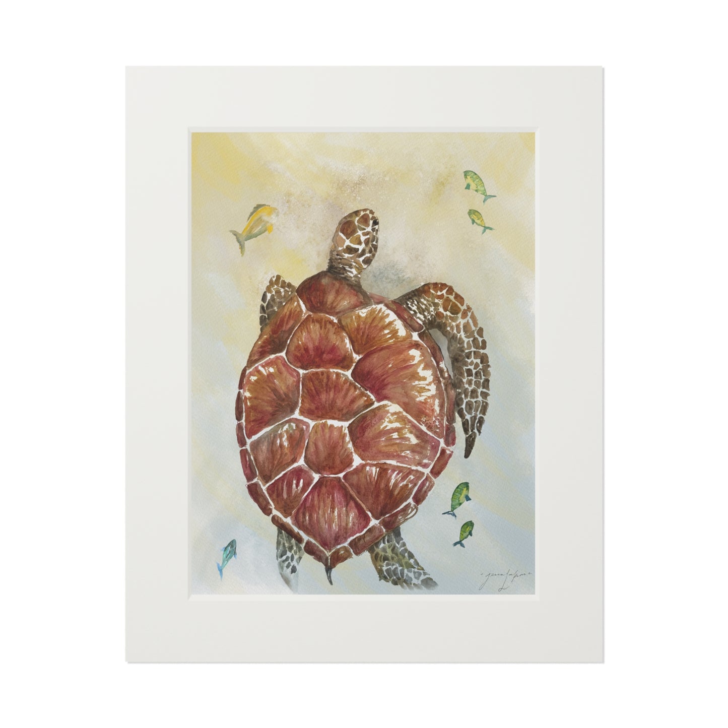 Golden Hour Honu - Matted Print