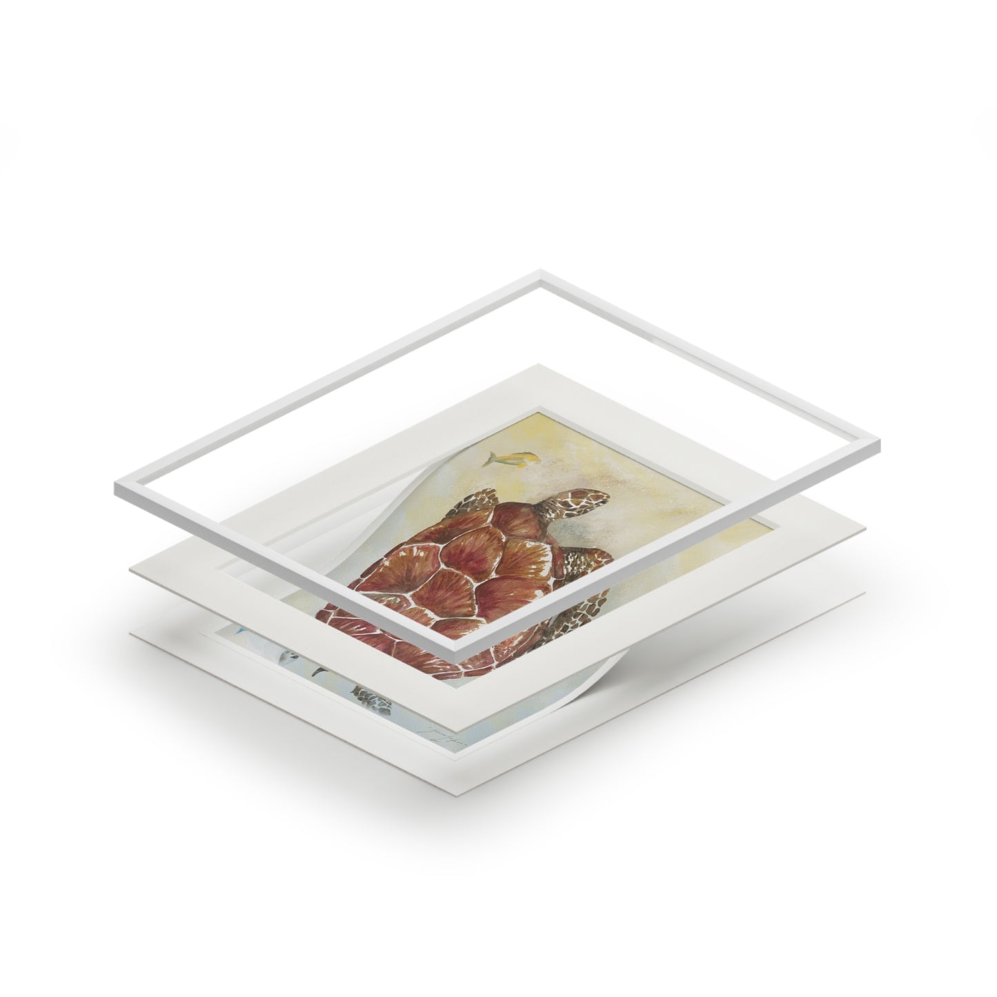 Golden Hour Honu - Matted Print