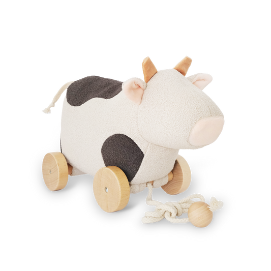 Pipi Pull-along toy