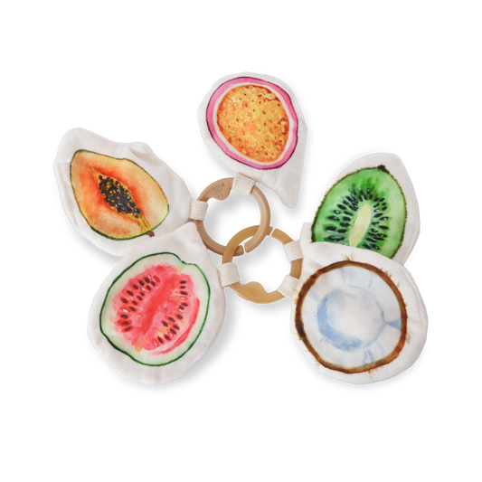 Local Fruits Activity Toy Set