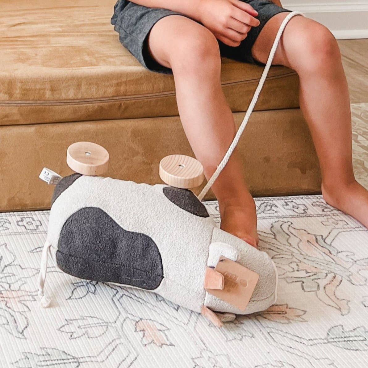 Pipi Pull-along toy