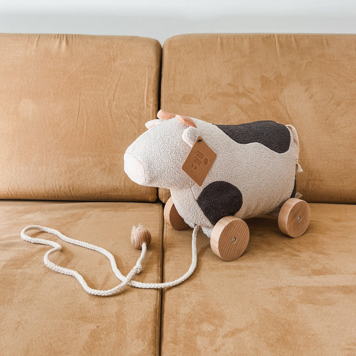 Pipi Pull-along toy